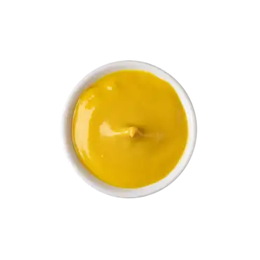 SALSA MOSTAZA EXTRA